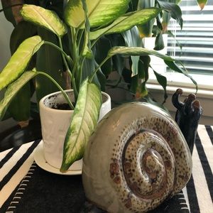 Meet your Posher, Debbi